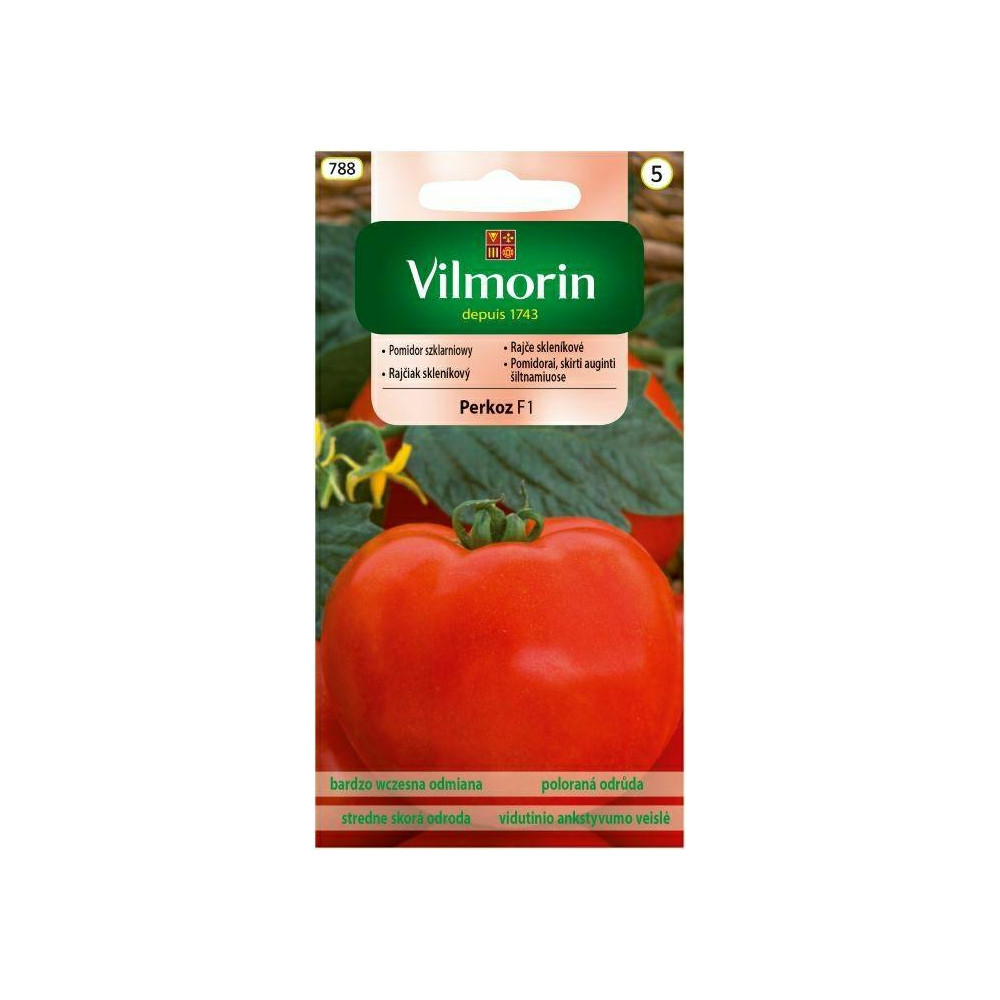 Pomidor szklarniowy średnio wysoki       Perkoz 0,2g Vilmorin - 1