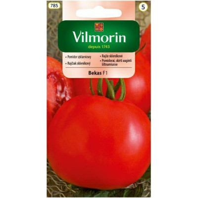 Pomidor szklarniowy średnio wysoki Bekas F1 0,2g Vilmorin - 1
