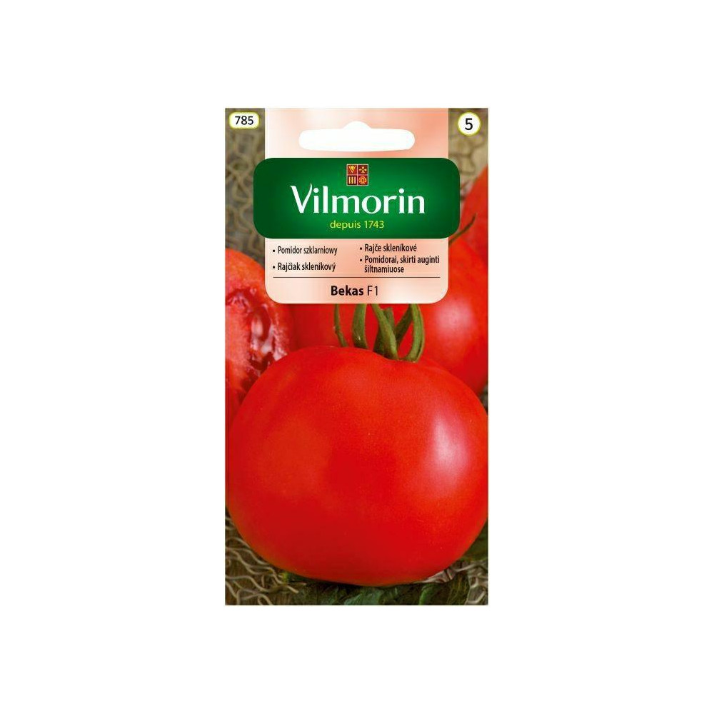 Pomidor szklarniowy średnio wysoki Bekas F1 0,2g Vilmorin - 1