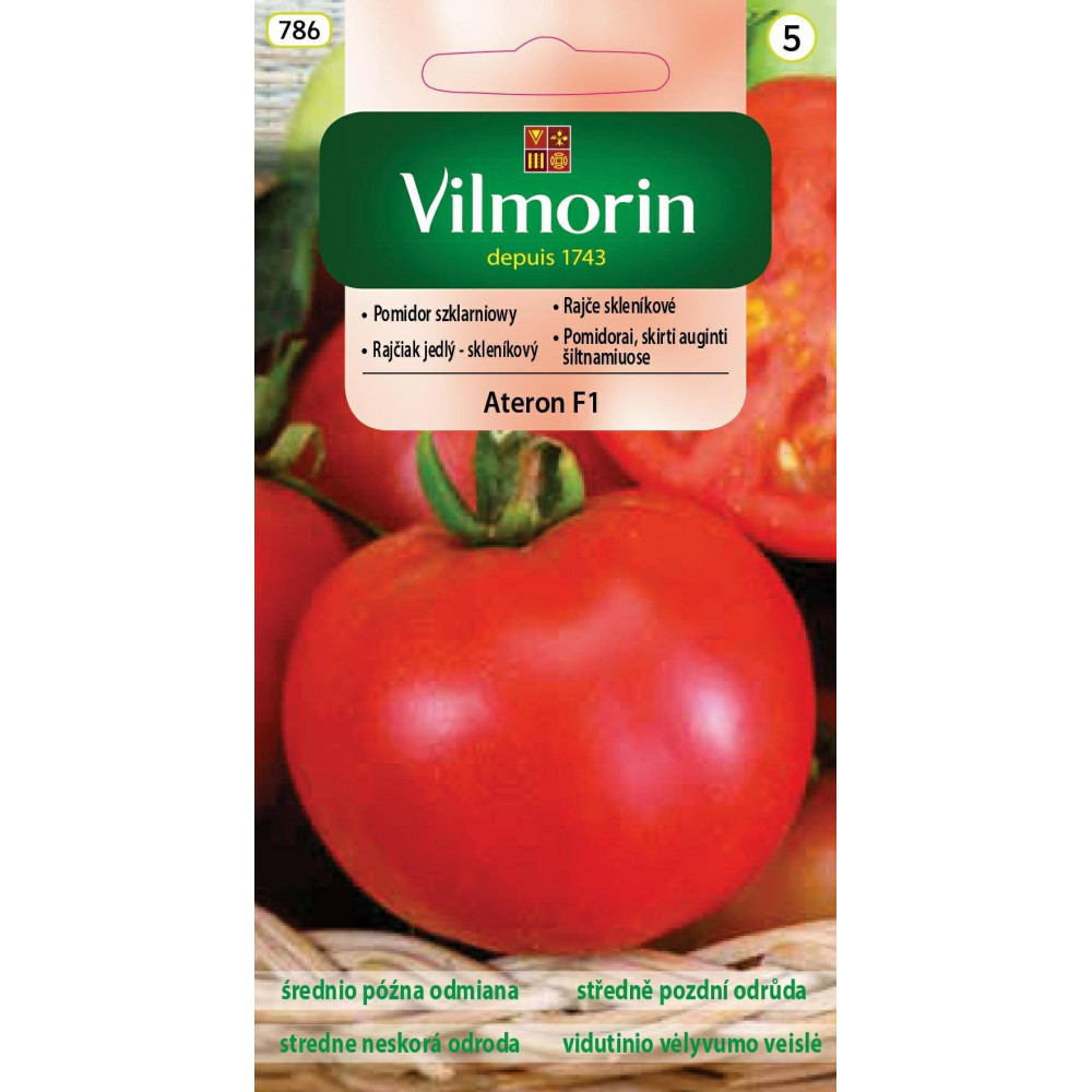 Pomidor szklarniowy wysoki Ateron F1      0,2g Vilmorin - 1