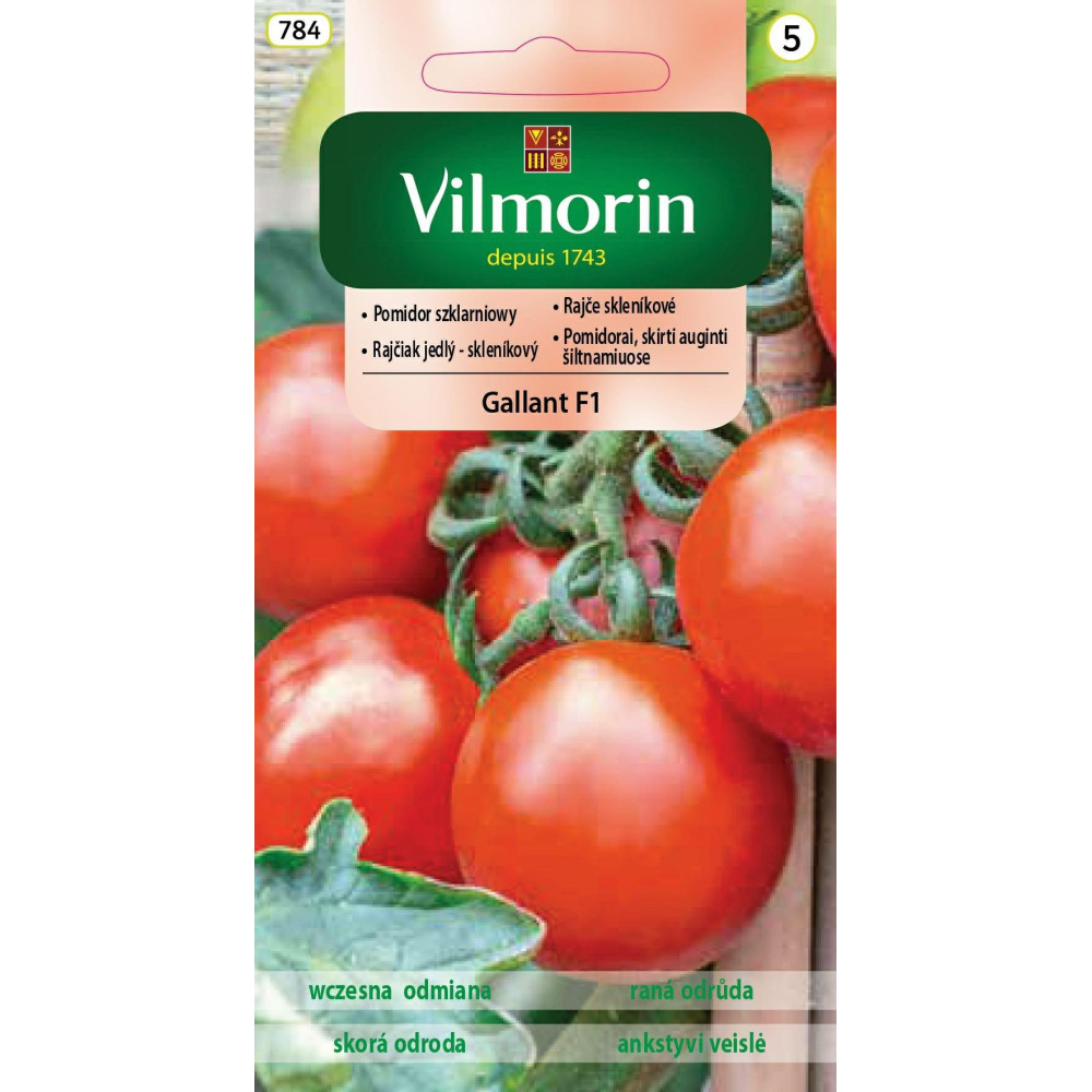 Pomidor szklarniowy wysoki Galant F1     0,2g Vilmorin - 1
