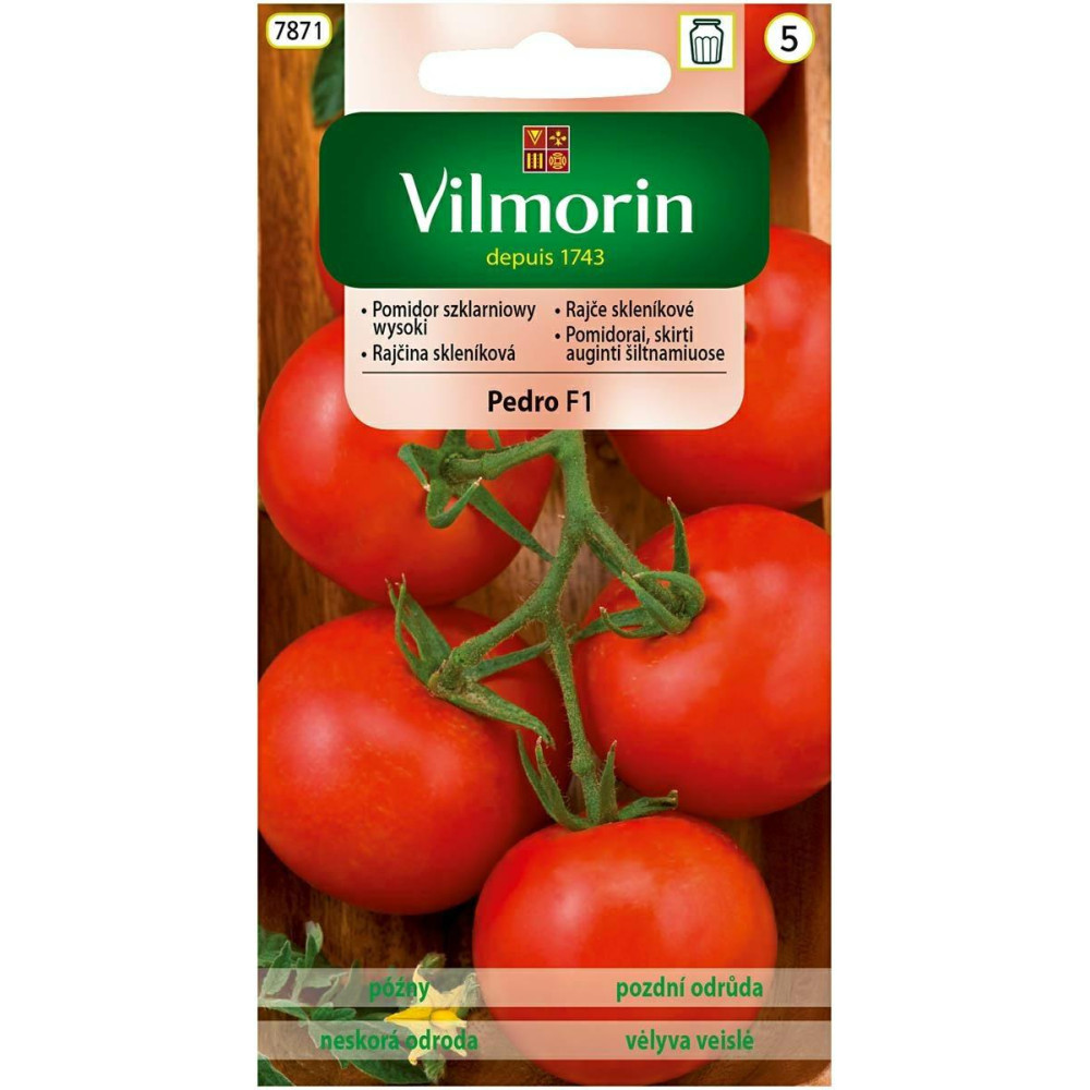 Pomidor szklarniowy wysoki Pedro F1 0,1g Vilmorin - 1