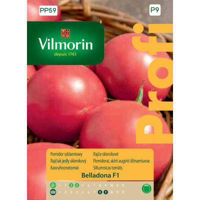 Pomidor szklarniowy, wysoki Belladona F1 8z Vilmorin Premium - 1