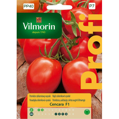 Pomidor szklarniowy, wysoki Cencara F1   0,2g Vilmorin Premium - 1