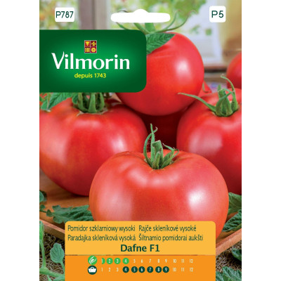 Pomidor szklarniowy, wysoki Dafne F1     0,2g Vilmorin Premium - 1