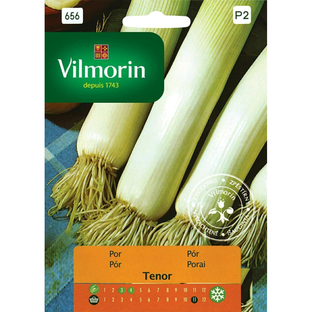 Por Tenor 0,5g / zimująca Vilmorin       Premium - 1