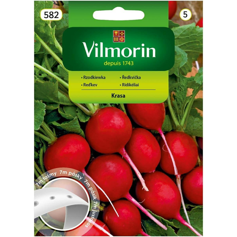 Rzodkiewka okragła Krasa 7m - warzywa na taśmie Vilmorin - 1