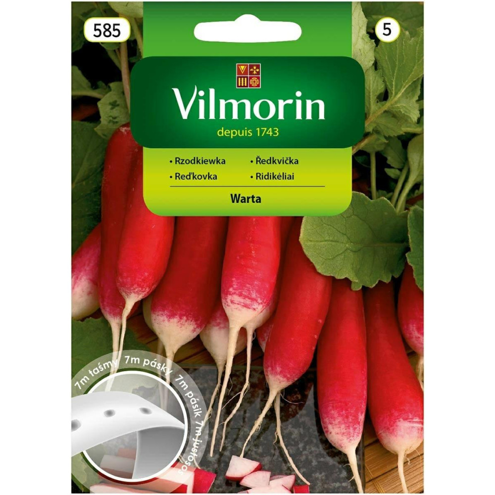 Rzodkiewka podłużna Warta 7m - warzywa   na taśmie Vilmorin - 1
