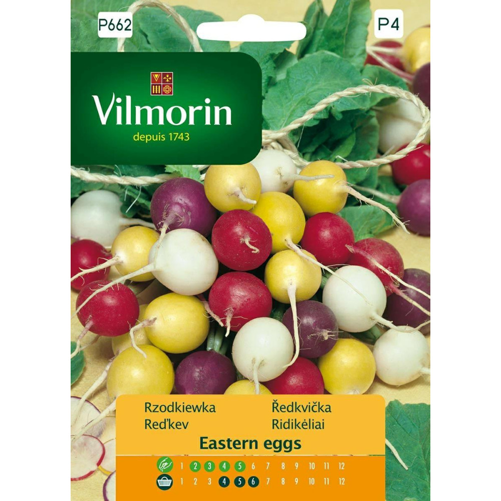 Rzodkiewka, mix kolorów i odmian 5g      Vilmorin Premium - 1