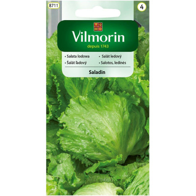 Sałata gruntowa lodowa Saladin 0,2g /    całoroczna Vilmorin - 1