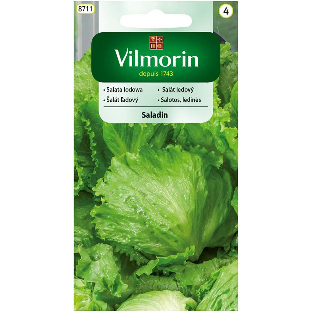 Sałata gruntowa lodowa Saladin 0,2g /    całoroczna Vilmorin - 1