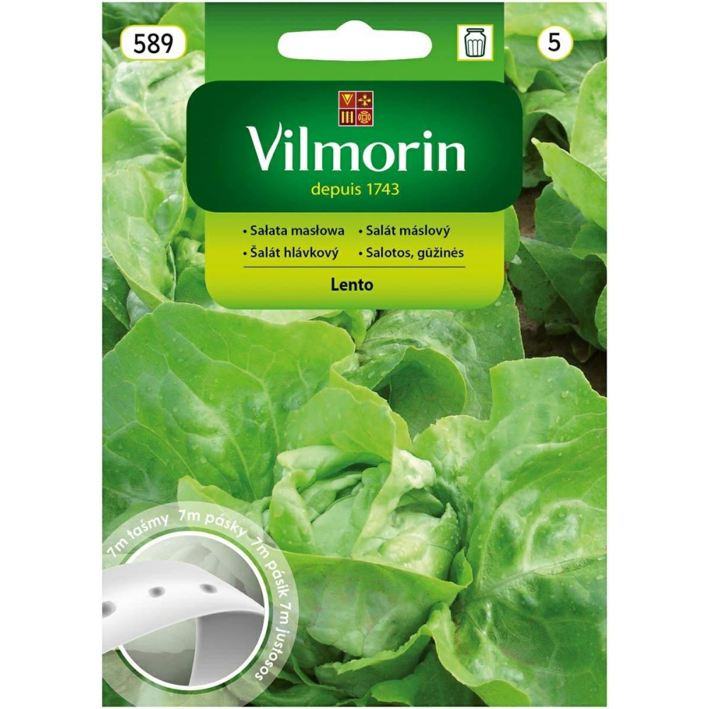 Sałata gruntowa masłowa Lento 7m -       warzywa na taśmie Vilmorin - 1