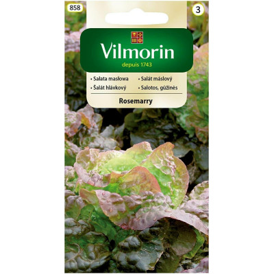 Sałata gruntowa masłowa Rosemarry 1g     Vilmorin - 1