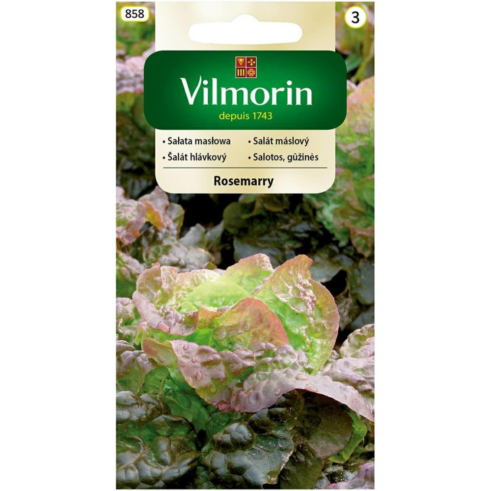 Sałata gruntowa masłowa Rosemarry 1g     Vilmorin - 1