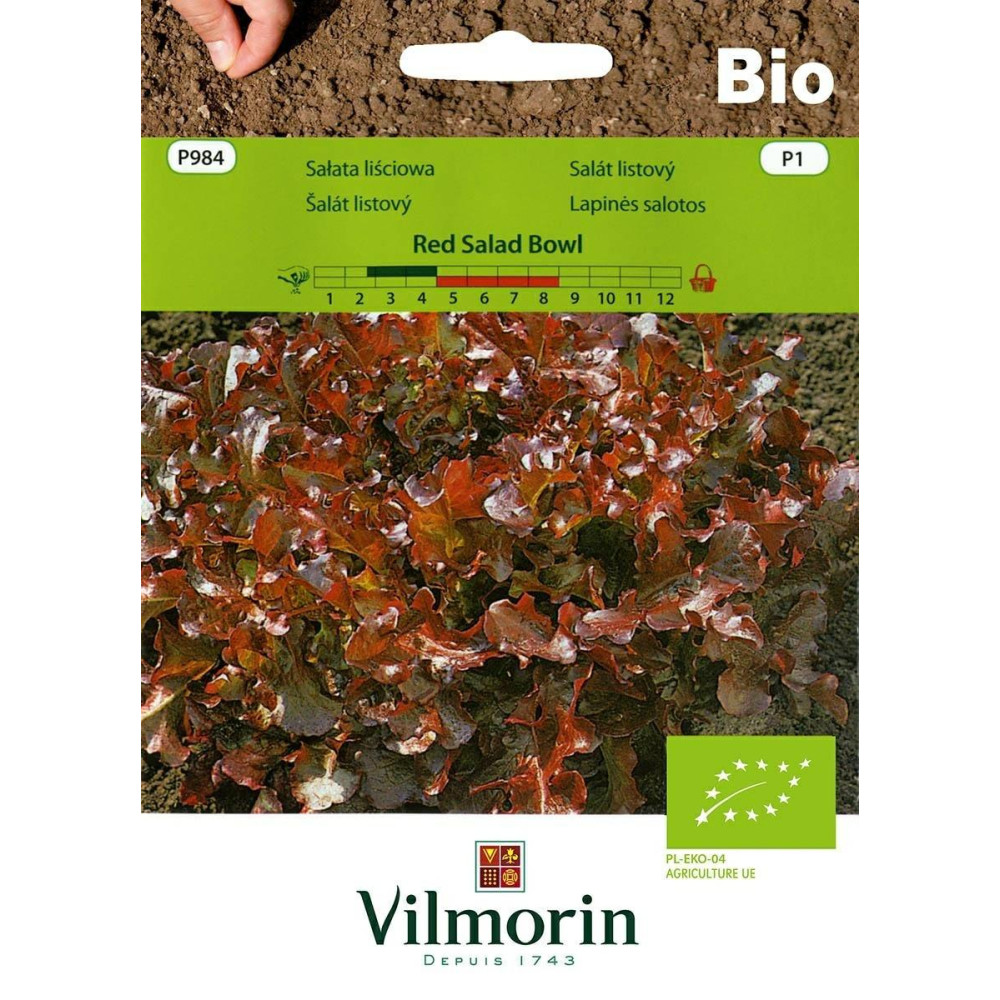 Sałata liściowa Red Salad Bowl  0,5g     wczesna Vilmorin Bio - 1