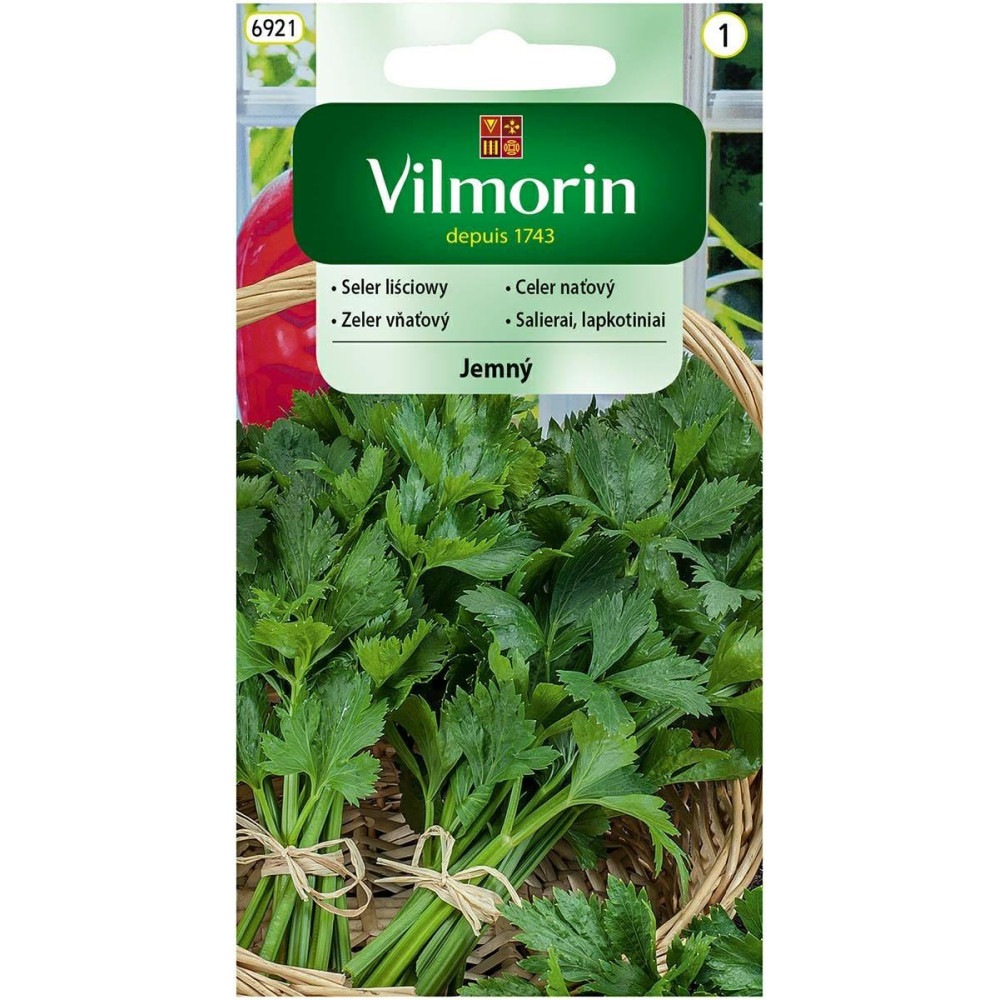 Seler liściowy Jemny 0,5g Vilmorin - 1