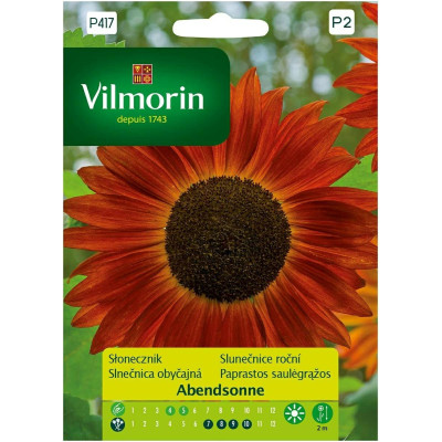 Słonecznik Abendsonne 0,5g Vilmorin      Premium - 1