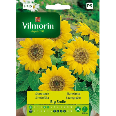 Słonecznik Big Smile 0,5g Vilmorin       Premium - 1