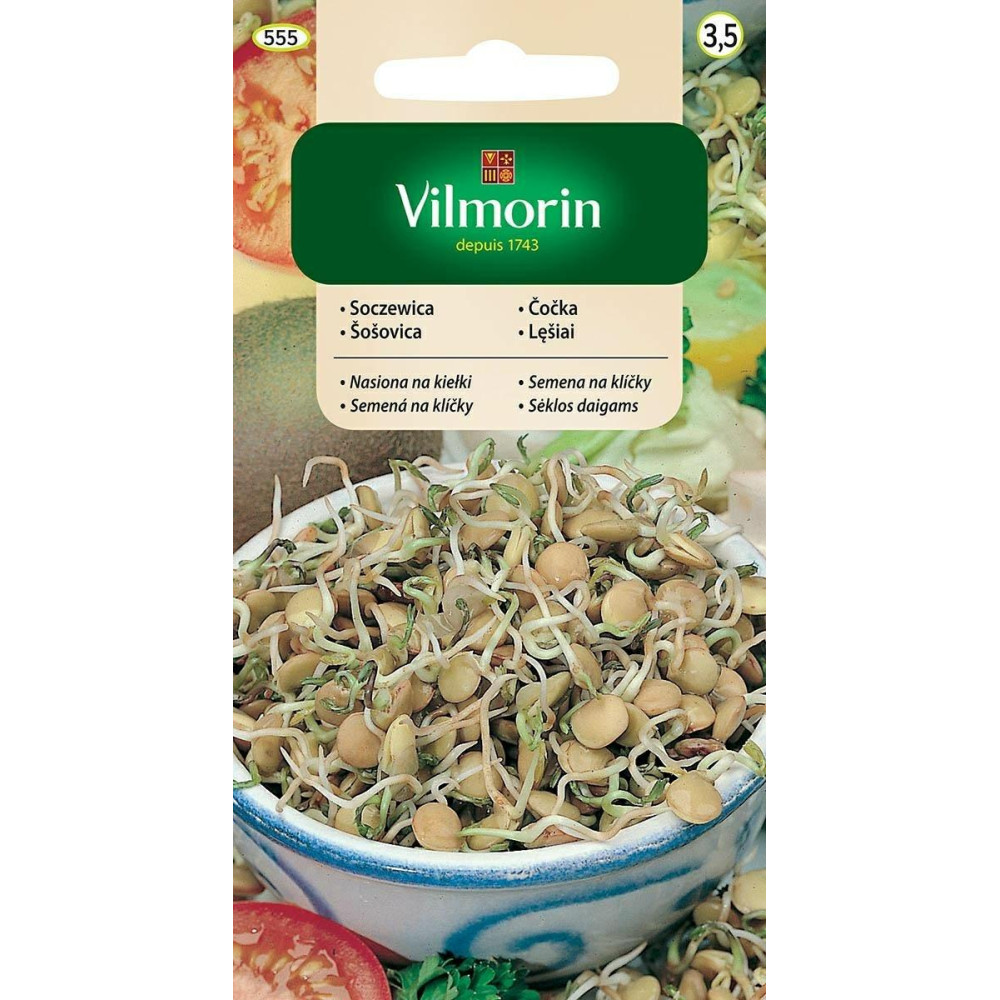 Soczewica 20g - nasiona na kiełki        Vilmorin                                                                               