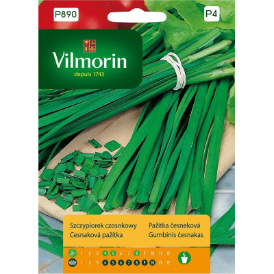 Szczypiorek czosnkowy 1g Vilmorin        Premium - 1