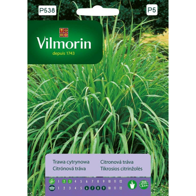 Trawa cytrynowa 0,5g  pałczatka          cytrynowa Vilmorin Premium                                                             