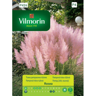 Trawa Pampasowa 0,1g różowa Vilmorin     Premium - 1