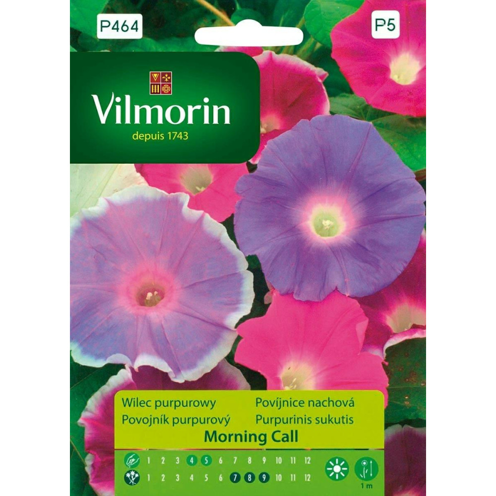 Wilec purpurowy Morning Call 1g Vilmorin Premium - 1