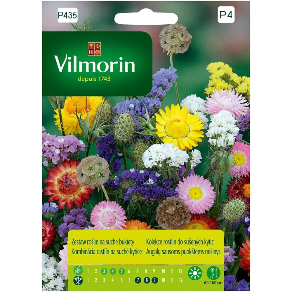 Zestaw roślin na suche bukiety 2g        Vilmorin Premium - 1