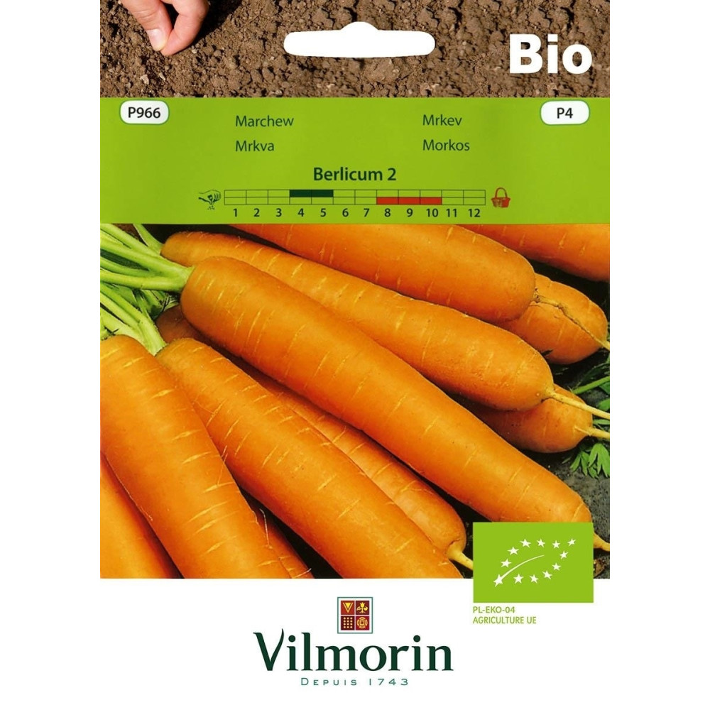 Marchew Berlicum 2  5g Vilmorin Bio - 1