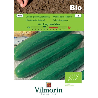Ogórek gruntowy sałatkowy Vert Long      Maraicher  2g Vilmorin Bio - 1