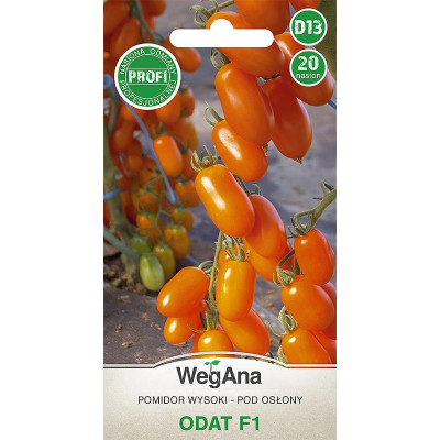 Pomidor - wysoki szklarniowy Odat F1 20 nasion WegAna - 1