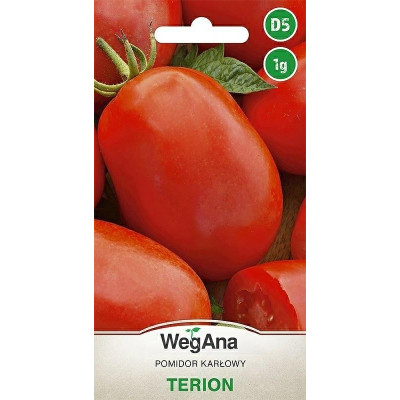 Pomidor - karłowy Terion 1g WegAna - 1