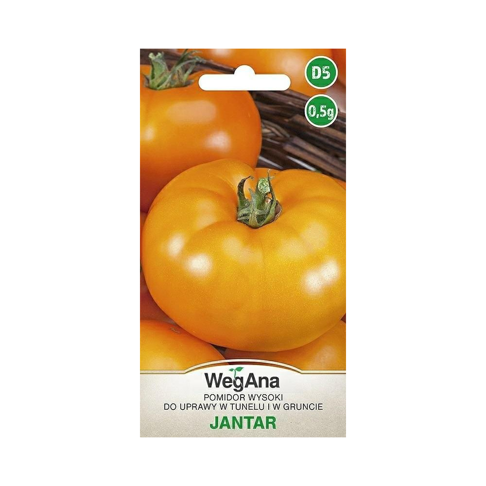 Pomidor - wysoki do tunelu i gruntu      Jantar 0,3g WegAna - 1