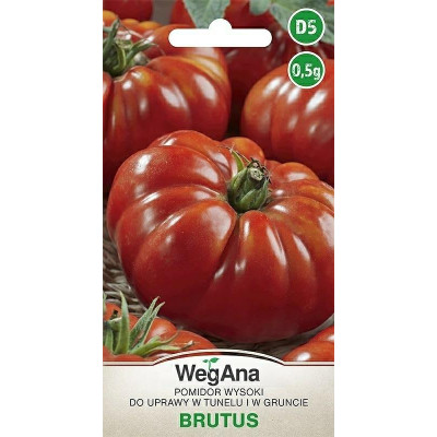 Pomidor - wysoki do tunelu i gruntu      Brutus 0,5g WegAna - 1