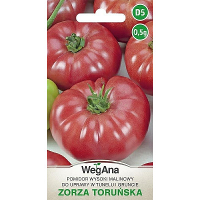 Pomidor - wysoki do tunelu i gruntu      Zorza Toruńska 0,5g WegAna - 1