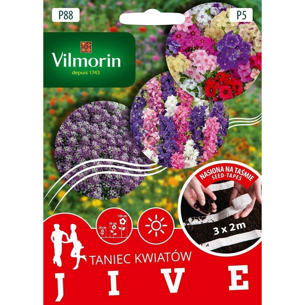 Kwiaty-na taśmie "Jive" 3x2m Vilmorin    Premium - 1