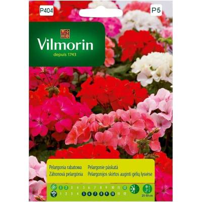Pelargonia rabatowa mix 10z Vilmorin     Premium - 1