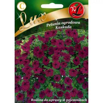 Petunia ogrodowa - Kaskada 0,02g -       purpurowa LUX - 1