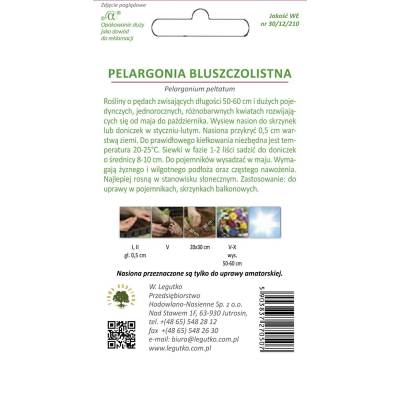Pelargonia bluszczolistna Speedy F2 5z.  mieszanka - Legutko - 2
