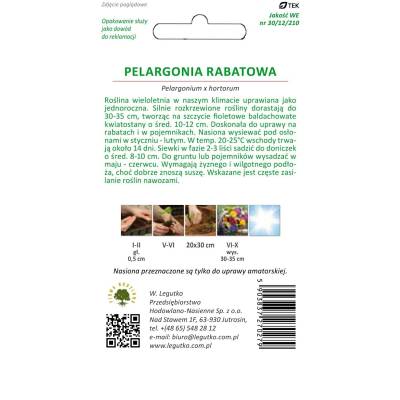 Pelargonia rabatowa Gama F1 fioletowa    0,03g Legutko - 2