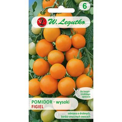 Pomidor gruntowy wysoki - Figiel 0,5g    Legutko - 1