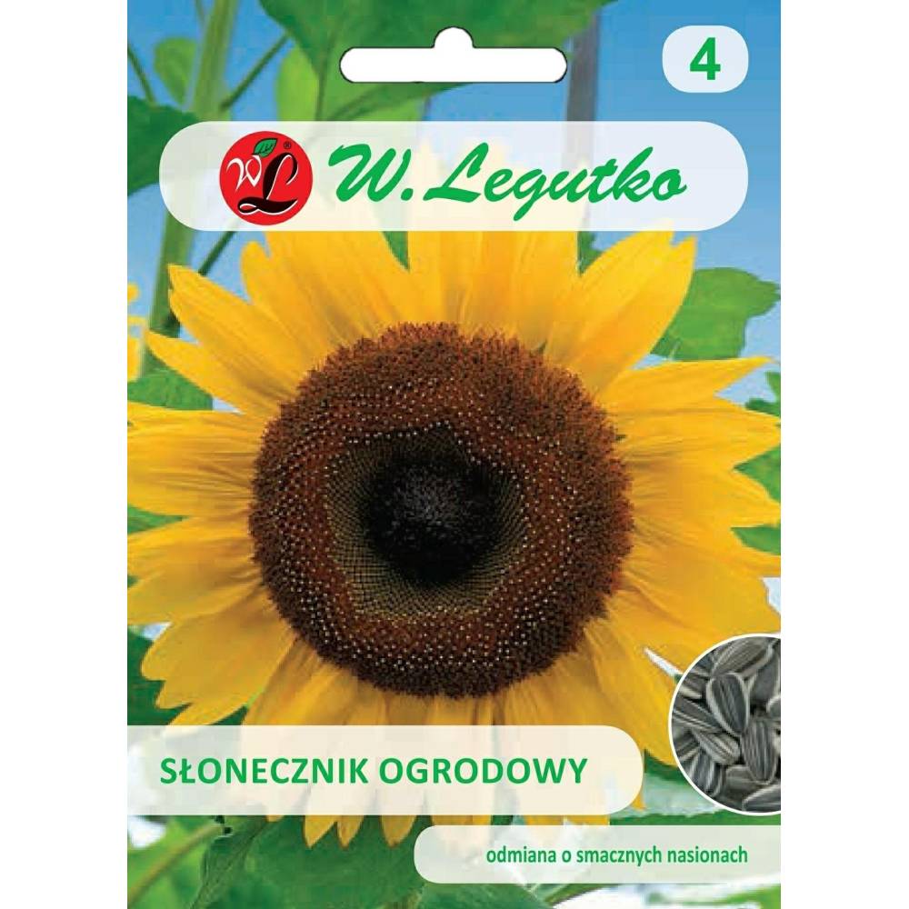 Słonecznik ogrodowy 10g Legutko - 1