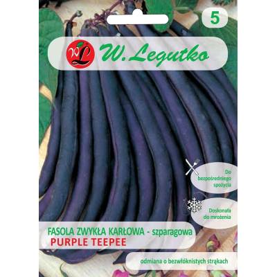Fasola szparagowa - Purple Teepee 30g    Legutko - 1