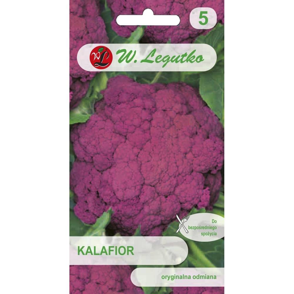 Kalafior - Di Sicilia violetto 1g        Legutko - 1