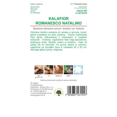 Kalafior - Romanesco natalino 1g Legutko - 2