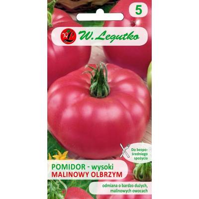 Pomidor gruntowy wysoki - Malinowy       Olbrzym 1g Legutko - 1