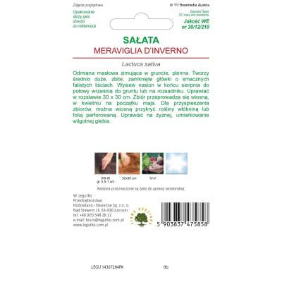 Sałata głowiasta masłowa - Meraviglia    d/inverno 1g Legutko - 2