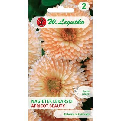 Nagietek lekarski - Apricot Beauty,      Morelowa Piękność 2g Legutko - 1