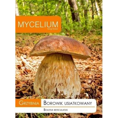 Grzybnia borowik usiatkowany 10g         Mycelium - 1