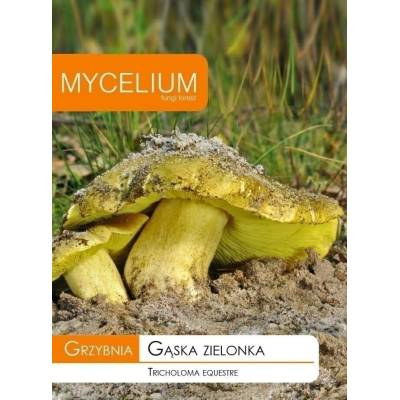 Grzybnia gąska zielonka 10g Mycelium - 1